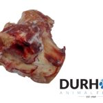 Durham Animal Feeds: Beef Knuckle Bone - 1 Piece