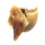 Riverside Animal Feeds: Large Hooves - Single